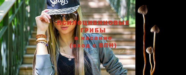 прущие грибы Алзамай