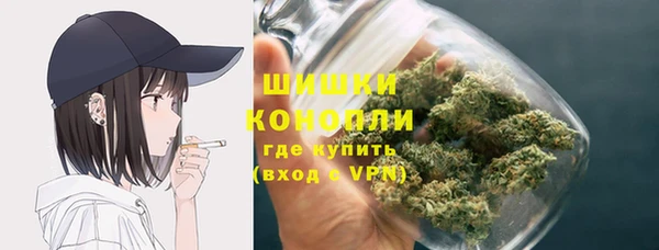 бошки Алексин