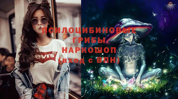 бошки Алексин