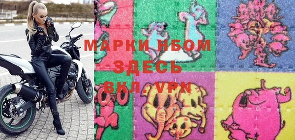 прущие грибы Алзамай