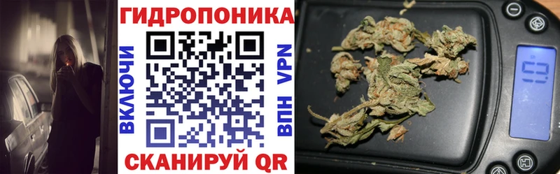 Шишки марихуана MAZAR Алзамай